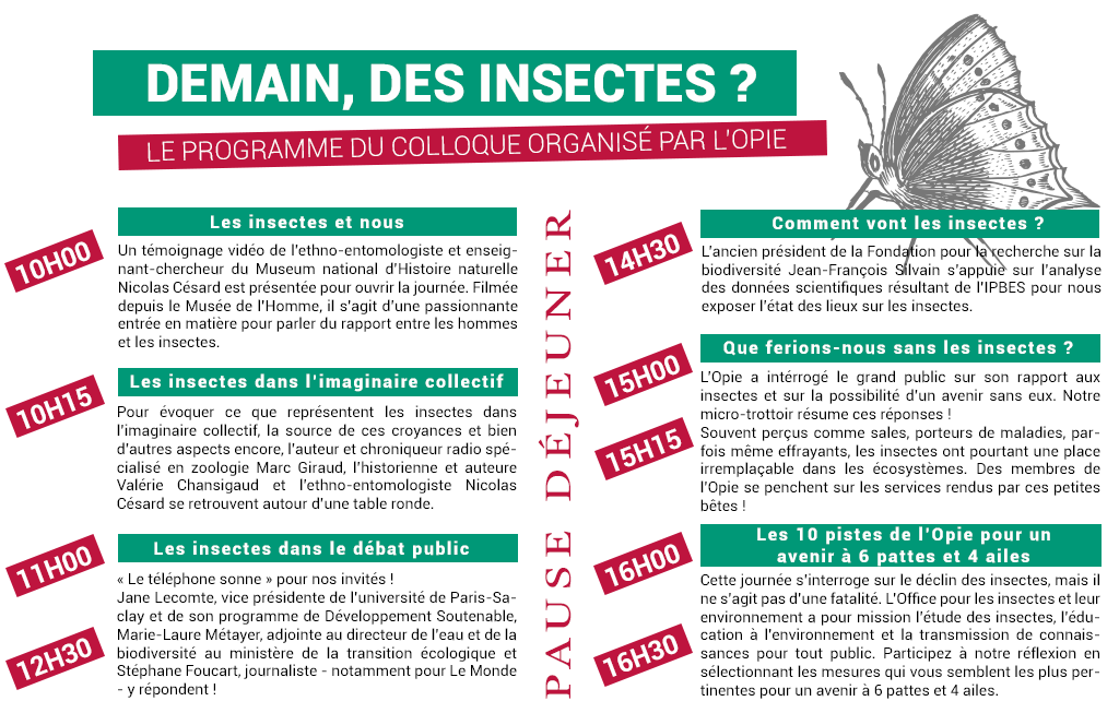 Programme Demain, des insectes